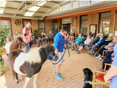 Horses visiting Miroma Aged Care - Outreach Visit