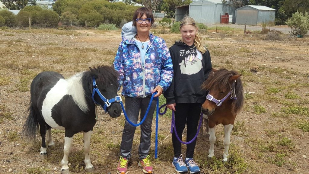 Our Story Sanctuary on Eyre with ponies